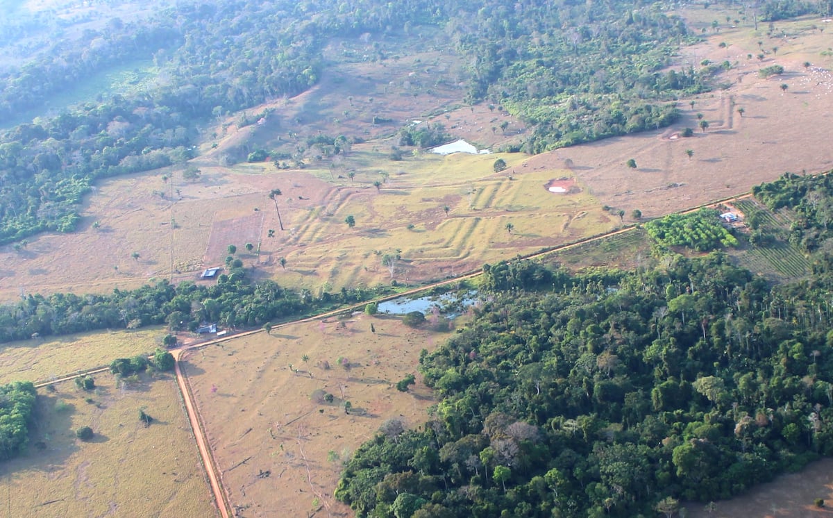 Más de 20.000 geoglifos ocultos en la selva revelan una Amazonia precolonial densamente habitada