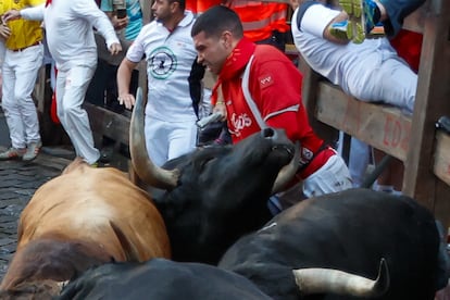 Un mozo es embestido por uno de los toros de la ganadería gaditana de La Palmosilla durante el séptimo encierro de los Sanfermines 2025 este domingo en Pamplona. 