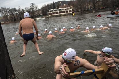 Varios bañistas participan en la 71 edición de la tradicional carrera 'Alfred Nikodém' en las heladas aguas del río Moldava a su paso por Praga (República Checa).