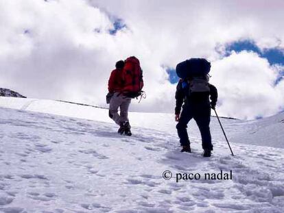 ¡Mi reino por una mula!