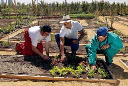 Uno de los huertos urbanos en alquiler del proyecto La Huerta de Montecarmelo, en Madrid.