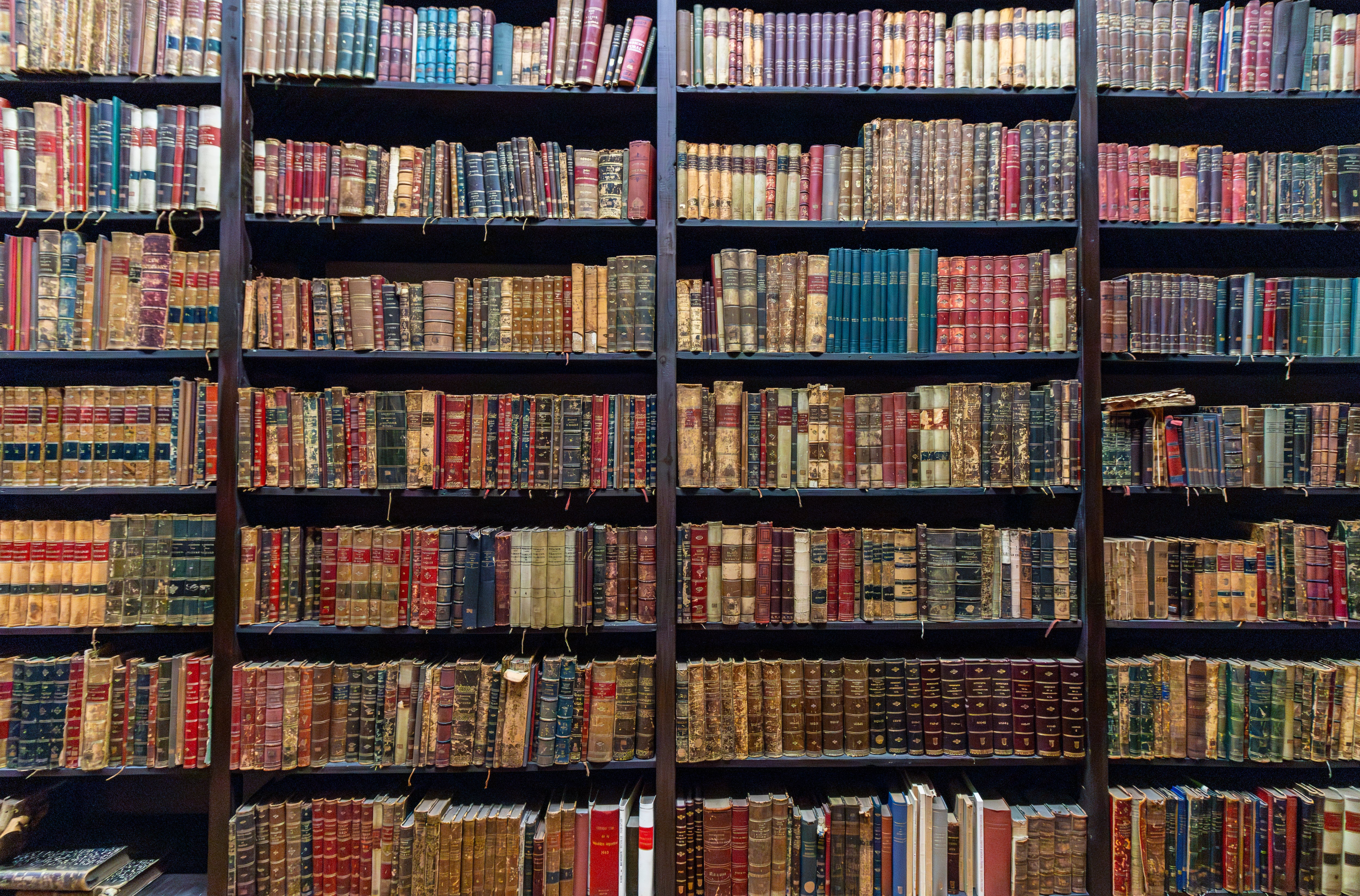 Casas con olor a libro
