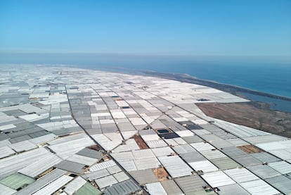 Invernaderos para cultivos de frutas y verduras junto a la costa, similares a 'un mar de plástico', en una imagen aérea de Almerimar (Almería).