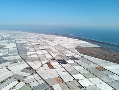 Invernaderos para cultivos de frutas y verduras junto a la costa, similares a 'un mar de plástico', en una imagen aérea de Almerimar (Almería).