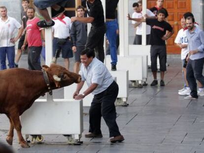 Las cuadrillas torean a las vaquillas en la plaza Aita Agirre durante las fiestas de Elgoibar. 