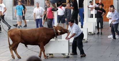 Las cuadrillas torean a las vaquillas en la plaza Aita Agirre durante las fiestas de Elgoibar. 