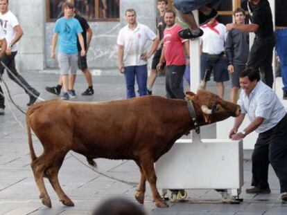 Las cuadrillas torean a las vaquillas en la plaza Aita Agirre durante las fiestas de Elgoibar. 