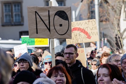 Manifestación contra la ultraderechista Alternativa para Alemania (AfD)