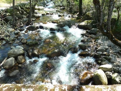 Arroyos y ríos surcan la zona.