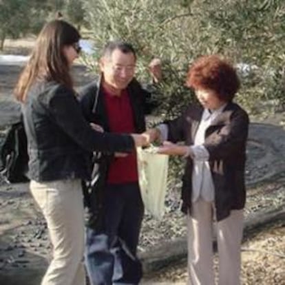 Grupo de turistas japoneses visitando un olivar