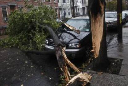 Un árbol, derribado por "Sandy" el 31 de octubre de 2012, cae sobre un automóvil en una calle de Hoboken, estado de Nueva Jersey (EEUU).