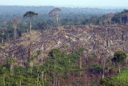 Vista aérea de los árboles quemados tras la deforestación ilegal del bosque de Jamanxim, en el estado de Pará, al norte de Brasil, tomada el 29 de noviembre de 2009.