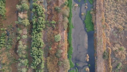 Imagen aérea de los humedales de la zona norte de Xochimilco, al sur de Ciudad de México, declarados Área Natural Protegida y Patrimonio de la Humanidad.