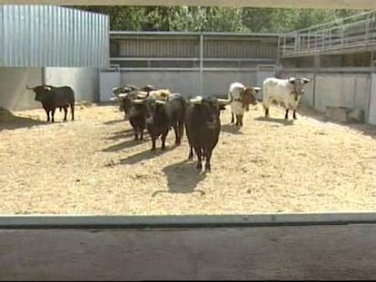 Pamplona se prepara para el San Fermín 2009