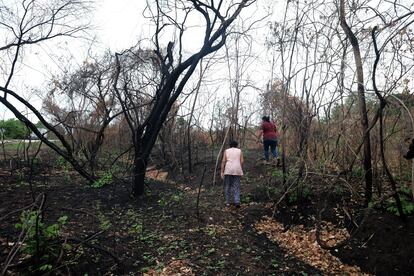 Women volunteers from the Chiquitano forests, affected by the fires in Bolivia