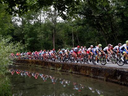 El pelotón, durante la 14ª etapa del Tour de 2019.