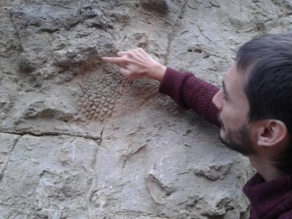 Víctor Fondevilla assenyala la pell d'un gran sauròpode, al Prepirineu català.