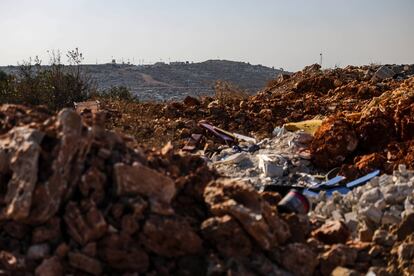 El asentamiento de colonos de Rose, frente a los campos de olivos palestinos de Salfit.