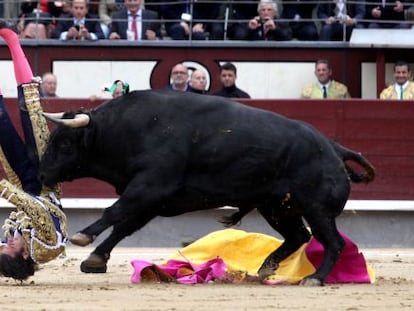 El torero David Mora es corneado por el toro que abre plaza en las Ventas.