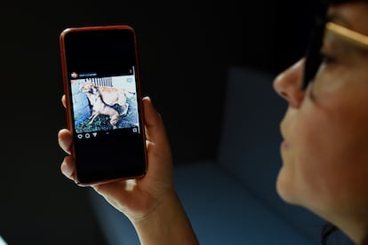 Una mujer contempla una imagen de maltrado animal en una cuenta de instagram.