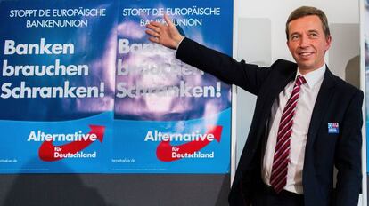 Bernd Lucke, líder de AfD, en una conferencia de prensa.