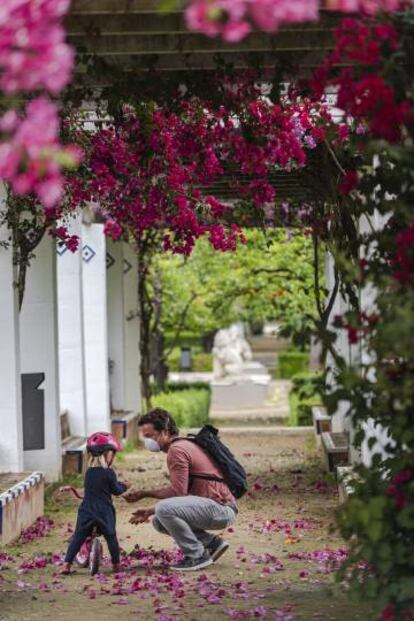 Pérgola de buganvillas en el jardín de los Leones del parque de Maria Luisa (Sevilla), el pasado 26 de abril.