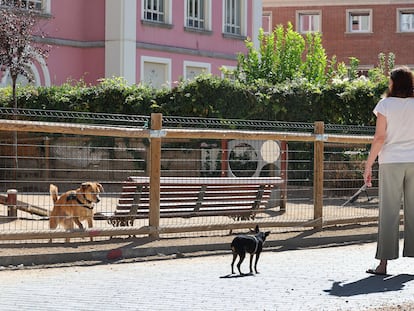 27-09 -23. (DVD 1180).  Parques caninos en Madrid diseñados para que los perros jueguen sueltos en la ciudad. En la imagen, el parque de la plaza de Barceló. Jaime Villanueva