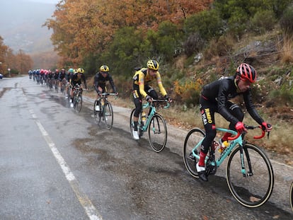 El pelotón hace la conga, con Roglic primero, para derrotar al viento de cara.