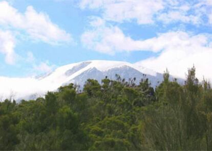Imagen del Kilimanjaro, con la cumbre cubierta de nieve.