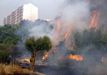 El fuego amenazaba ayer la ciudad de Abrantes, en el centro de Portugal.