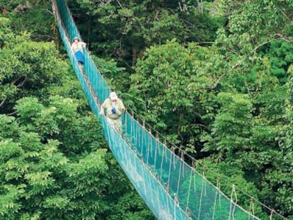 Los territorios ind&iacute;genas suman el 25% de la selva, solo se protege el 10%