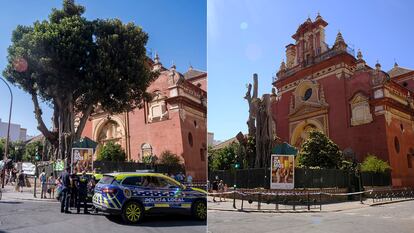 San Jacinto Sevilla