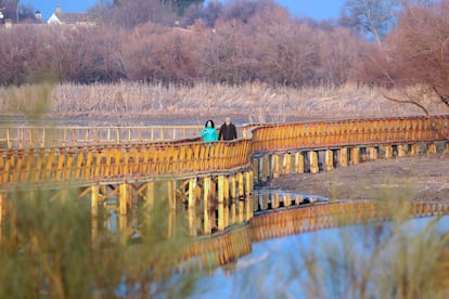 Dos personas caminan por el parque de las Tablas de Daimiel, en Ciudad Real