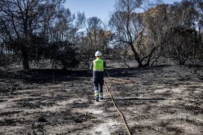 Incendio Saler Valencia