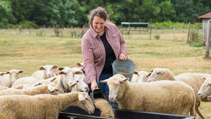 Una mujer dando de comer a unas ovejas en el campo.