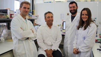 Cuatro de los investigadores de la nueva vacuna contra la tuberculosis. De derecha a izquierda, Dessislava Marinova, Nacho Aguilo, Carlos Martin y Jesus Gonzalo.