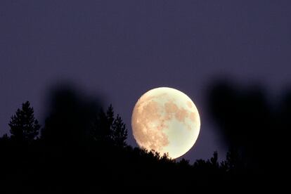 La luna alumbra un bosque de los Pirineos.