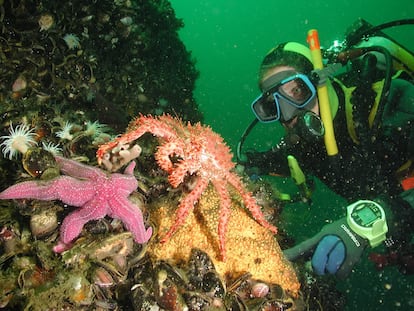 Häussermann explora la diversidad marina de los fiordos de la Patagonia chilena.