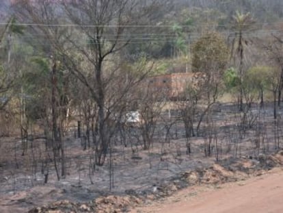 Las autoridades de ambos países unen esfuerzos para combatir el fuego en zonas de gran importancia ecológica