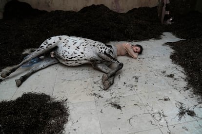 Una parte de la instalación 'We Walked the Earth' ("caminamos por la tierra"), del artista Uffe Isolotto, en el pabellón de Dinamarca, el 19 de abril, un día antes de la apertura previa para profesionales de la exposición de la Bienal de las Artes en Venecia.