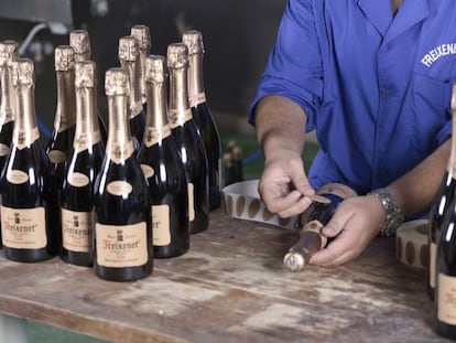 Botellas de cava Freixenet