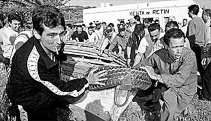 Pescadores de Barbate, ayer, arrastrando una barca para cortar con ésta la carretera N-340.