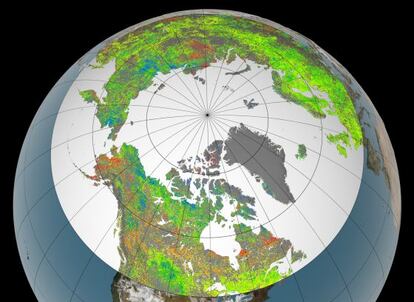 Mapa de incremento de vegetación (verde y azul), de reducción (naranja y rojo) y sin cambios (amarillo) en los últimos 30 años en el Ártico y las regiones boreales.
