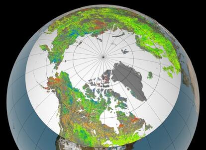 Mapa de incremento de vegetaci&oacute;n (verde y azul), de reducci&oacute;n (naranja y rojo) y sin cambios (amarillo) en los &uacute;ltimos 30 a&ntilde;os en el &Aacute;rtico y las regiones boreales.
 