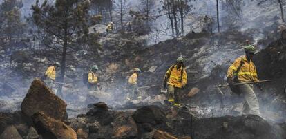 Miembros del Infoca trabajan en el área afectada por el incendio de Ojén.