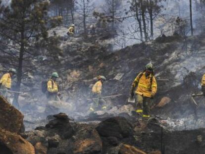 Miembros del Infoca trabajan en el área afectada por el incendio de Ojén.