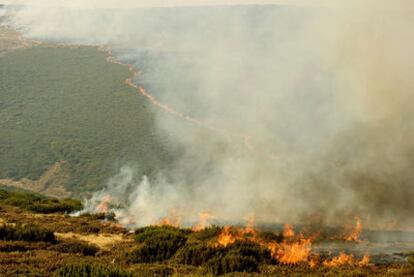 Imagen de uno de los frentes, ayer, en Manzaneda, del gran incendio que afecta al Macizo Central ourensano.