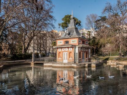 Grupo de ocas en el estanque lleno de agua de la casita del Pescador, en el parque del Retiro, este jueves.