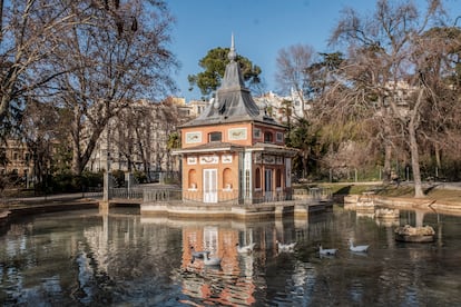 Grupo de ocas en el estanque lleno de agua de la casita del Pescador, en el parque del Retiro, este jueves.