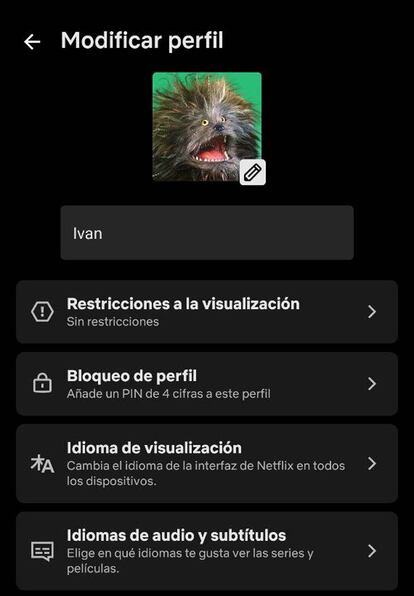 Opciones de un perfil en Netflix